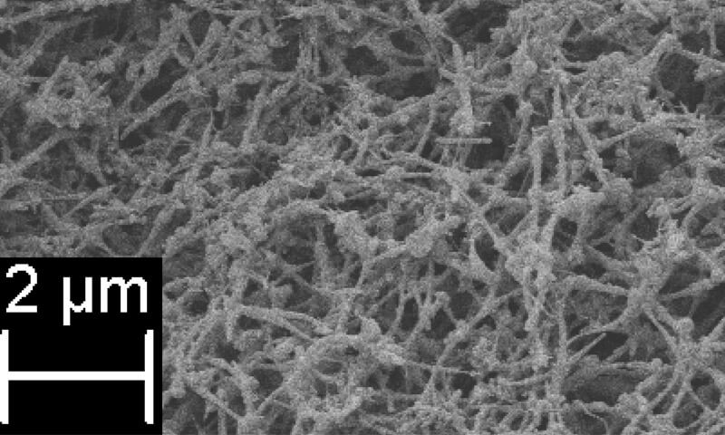 A scanning electron microscope image of BNNano’s NanobarbTM