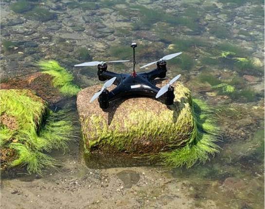 A hydronalix drone safely resting on a rock out of the water